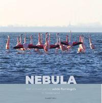 Nebula