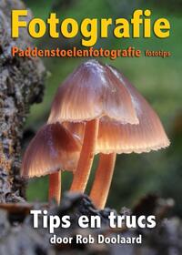 Fotografie: paddenstoelenfotografie fototips