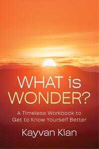 What Is Wonder?