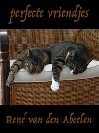 Perfecte vriendjes