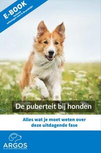 De puberteit bij honden