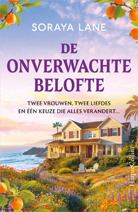 De onverwachte belofte