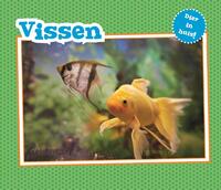 Vissen
