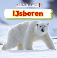 IJsberen