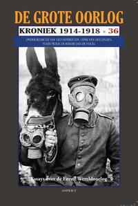 Een Nederlandse journalist bezoekt Britse gevangenkampen in 1916