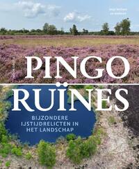 Pingoruïnes