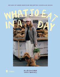 What to eat in a day