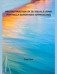 Reconstruction Of 3D Visuals Using Partially Supervised Approaches