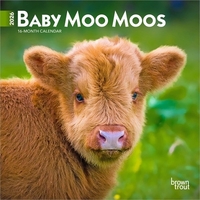 Baby Moo Moos 2026 7 X 14 Inch (Hanging) Monthly Mini Wall Calendar