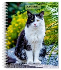 Cat Lovers 2026 Engagement Diary