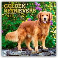 Golden Retrievers 2026 Square Flap Foil Calendar