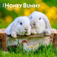 Honey Bunny 2026 7 X 14 Inch (Hanging) Monthly Mini Wall Calendar