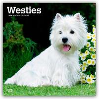 West Highland White Terriers 2026 Square Flap Calendar
