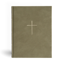 CSB Illustrator's Notetaking Bible, Large Print Edition, Sage Suedesoft Leathertouch Over Board
