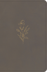 KJV Large Print Compact Reference Bible, Clay Leathertouch
