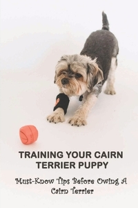 Training Your Cairn Terrier Puppy: Must-Know Tips Before Owing A Cairn Terrier: Facts About The Cairn Terrier