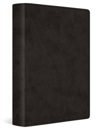 ESV Giant Print Value Personal Size Bible (Trutone, Black)