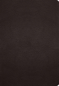 ESV Large Print Compact Bible, Red Letter (Buffalo Leather, Deep Brown)