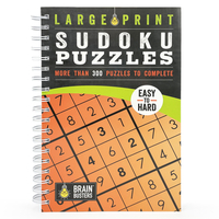 Large Print Sudoku Puzzles Orange