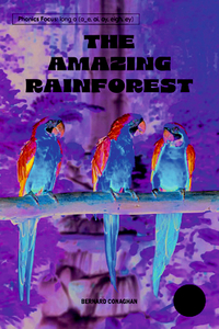 The Amazing Rainforest