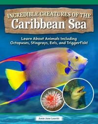 Incredible Creatures of the Caribbean Sea: Learn about Animals Including Octopuses, Stingrays, Eels, and Triggerfish!