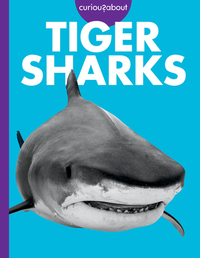 Curious about Tiger Sharks