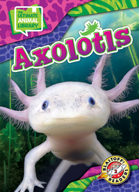 Axolotls
