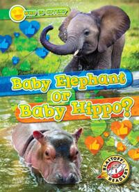 Baby Elephant or Baby Hippo?