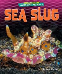 Sea Slug